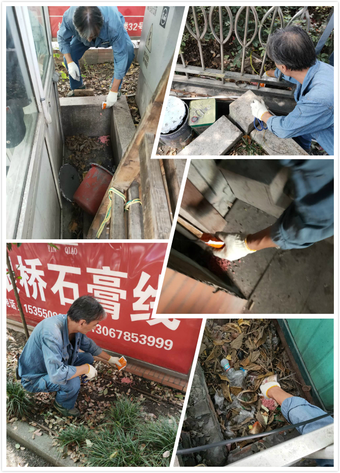 必赢市场开展冬季灭鼠