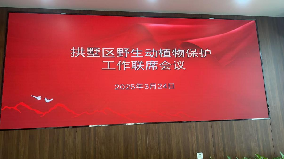 钱江商城参加拱墅区野生动植物保唬；；；すぷ髁嵋